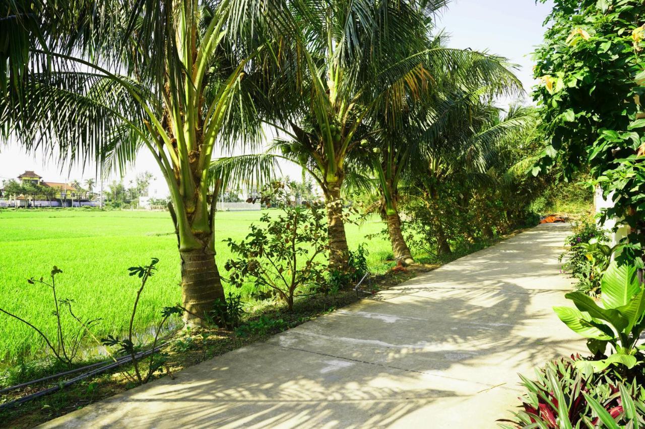 Ở trọ Hoang Y Hội An