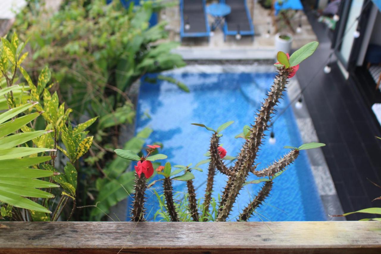 An Bang Mq Villa Hoi An