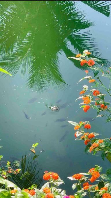 Casa - View Song Lang Man, Ho Boi Rieng Apartment *