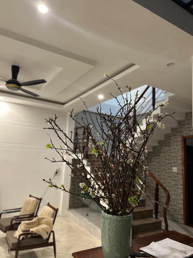 Vang Anh Hoi An