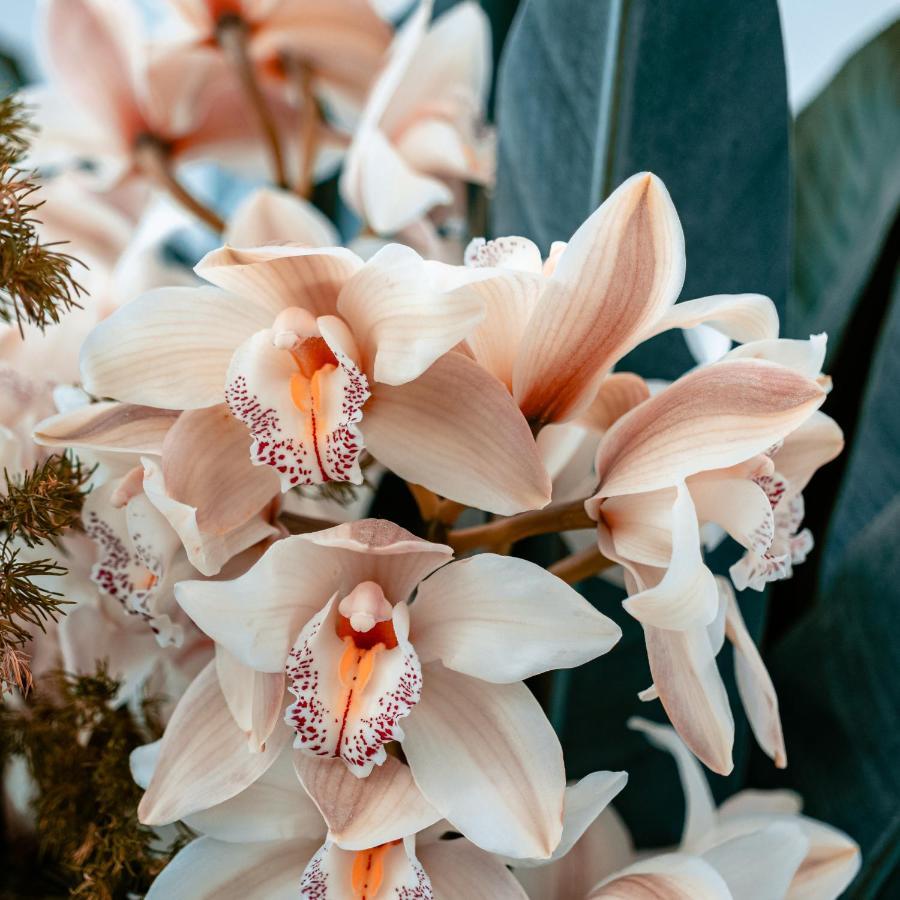 Orchid Garden Riverside Hoi An