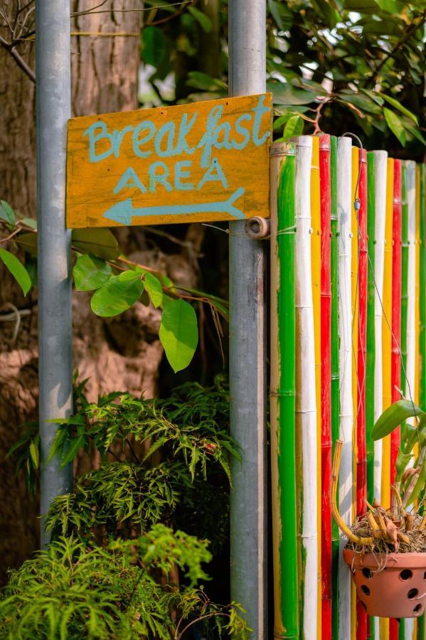 Homestay 5 Coconut