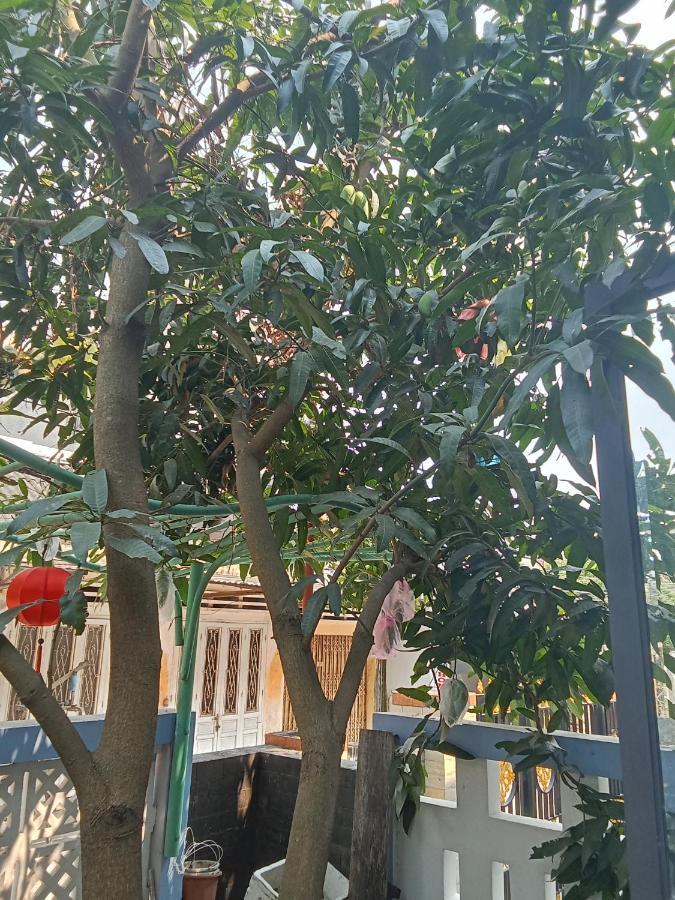 Smart Garden Homestay *