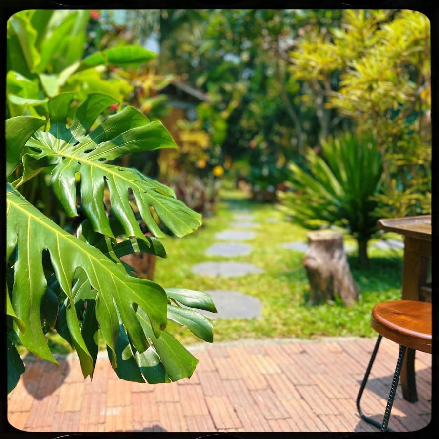 The Happy Bird Guest house 2*