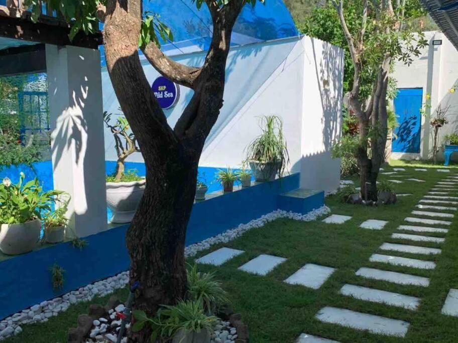 Skp Wild Sea Homestay Holiday home Hoi An