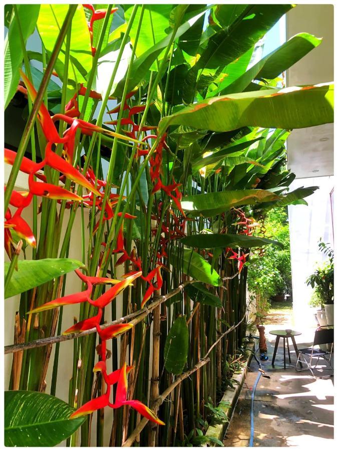 Hoian Central Garden Homestay Hoi An
