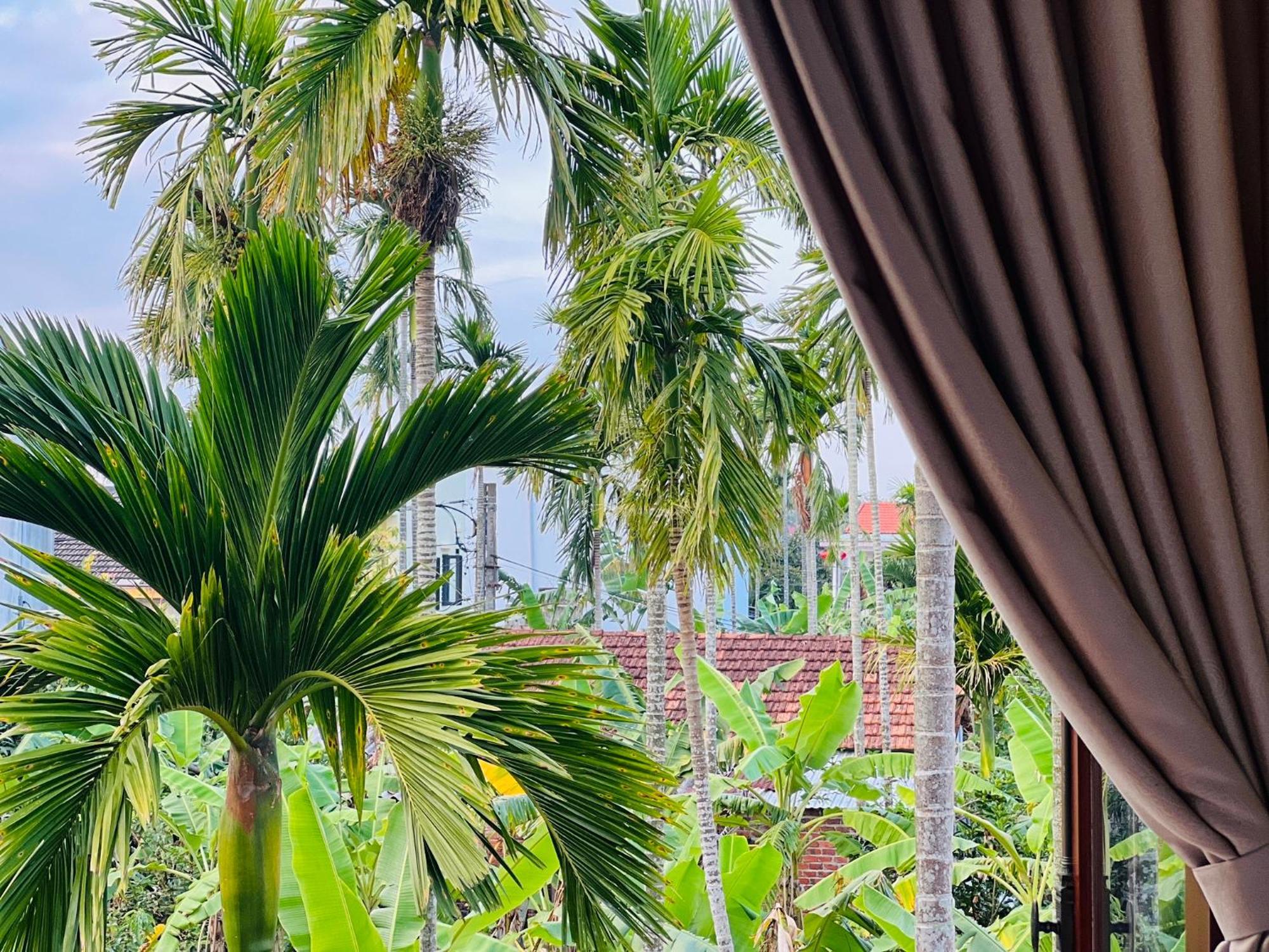Homestay Thuy House Hoi An