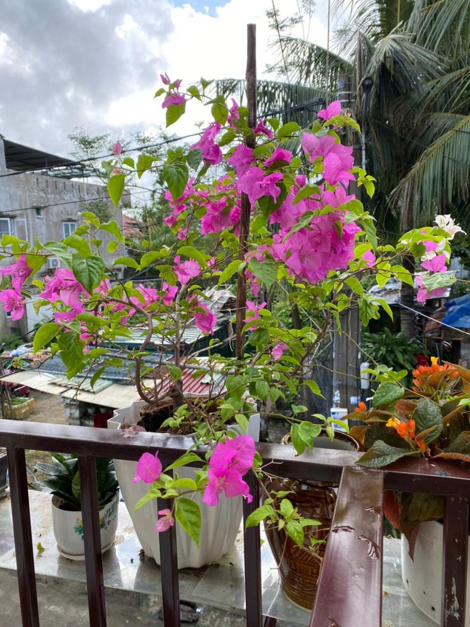 Cuong Thinh Homestay *