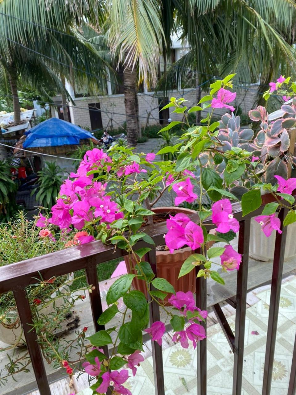 Homestay Cuong Thinh *