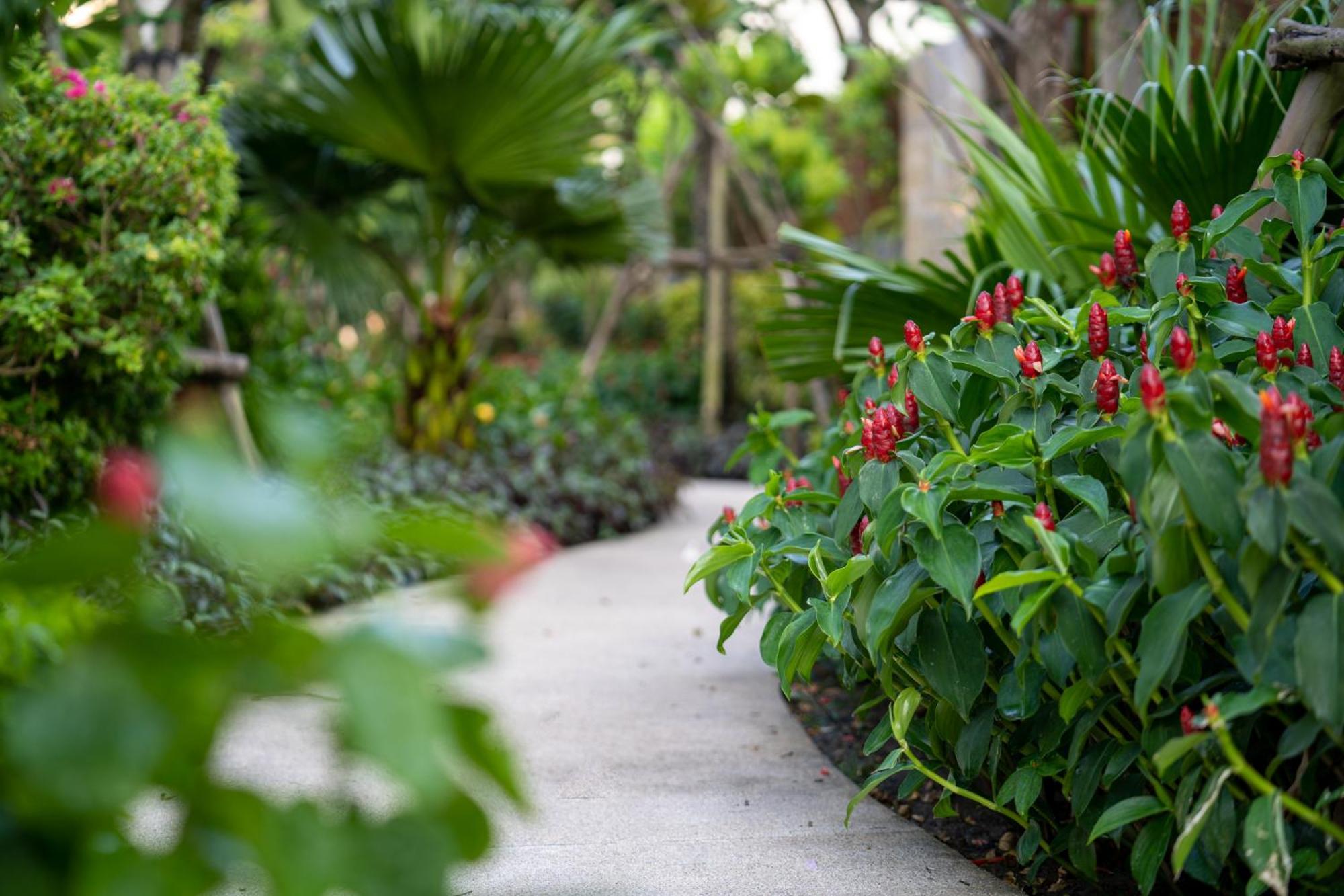 The Five & Quangnam - Danang Resort