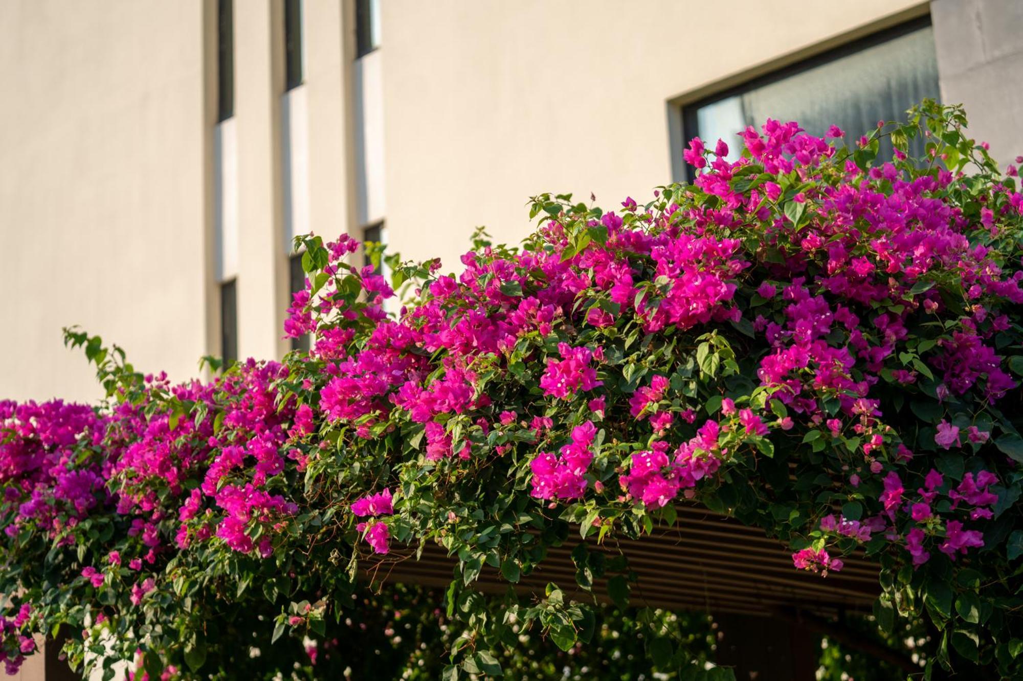Resort The Five & Quangnam - Danang Hoi An