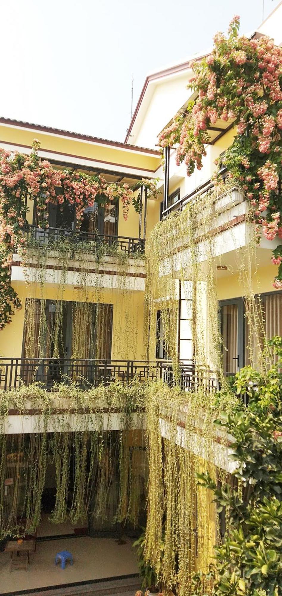 Town Of Viet House * Hoi An