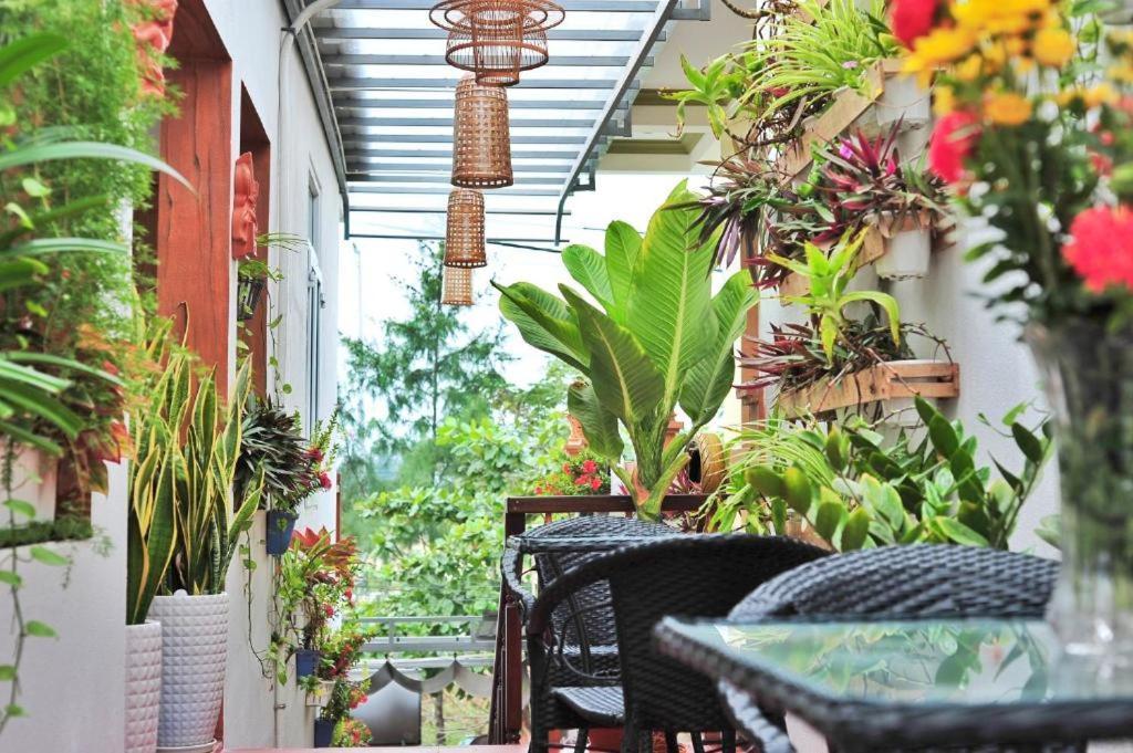 Nhà Dân Biển Cát Trắng An Bàng Hội An