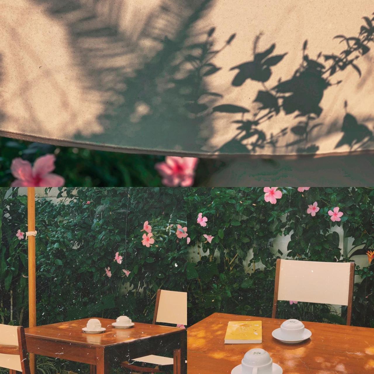 An Hien * Hoi An