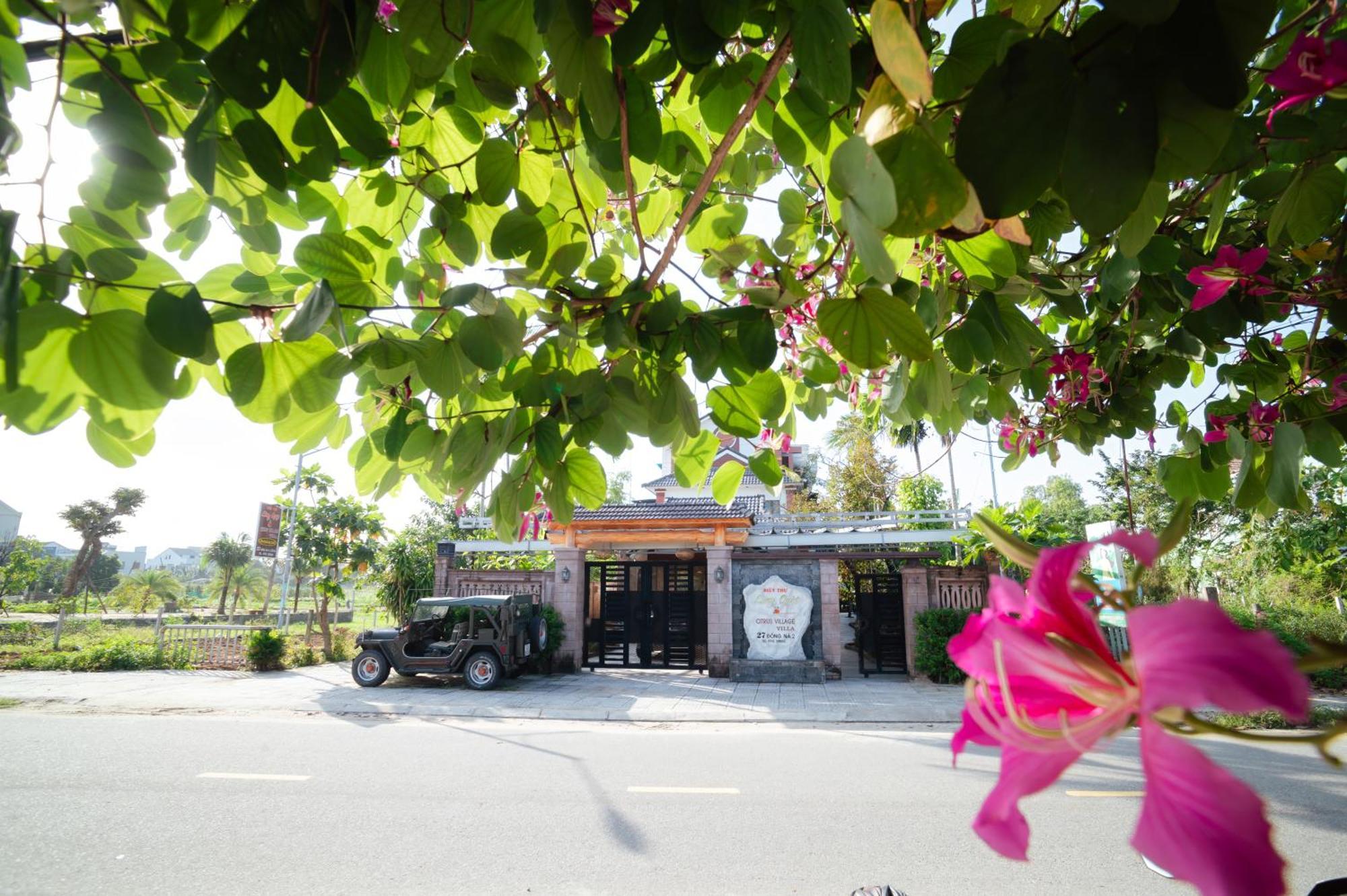 Hotel Citrus Village 3*