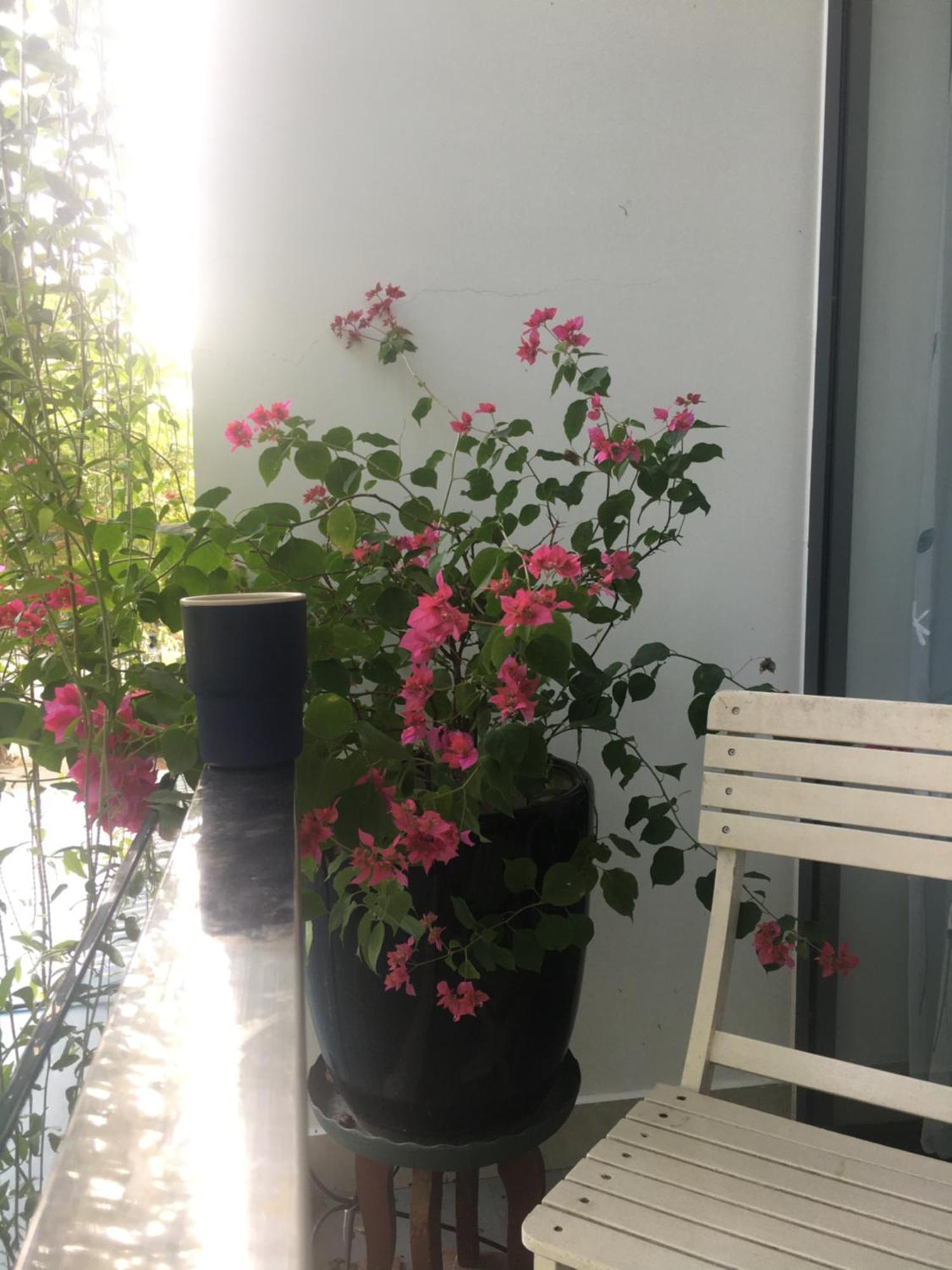 Homestay La Gai