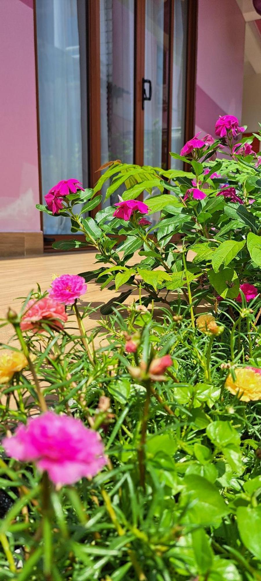 Ms Tri Homestay Hoi An