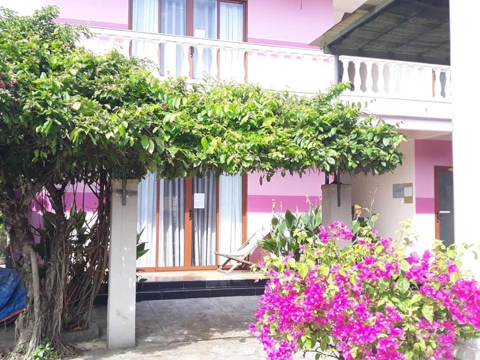 Ms Tri Hoi An