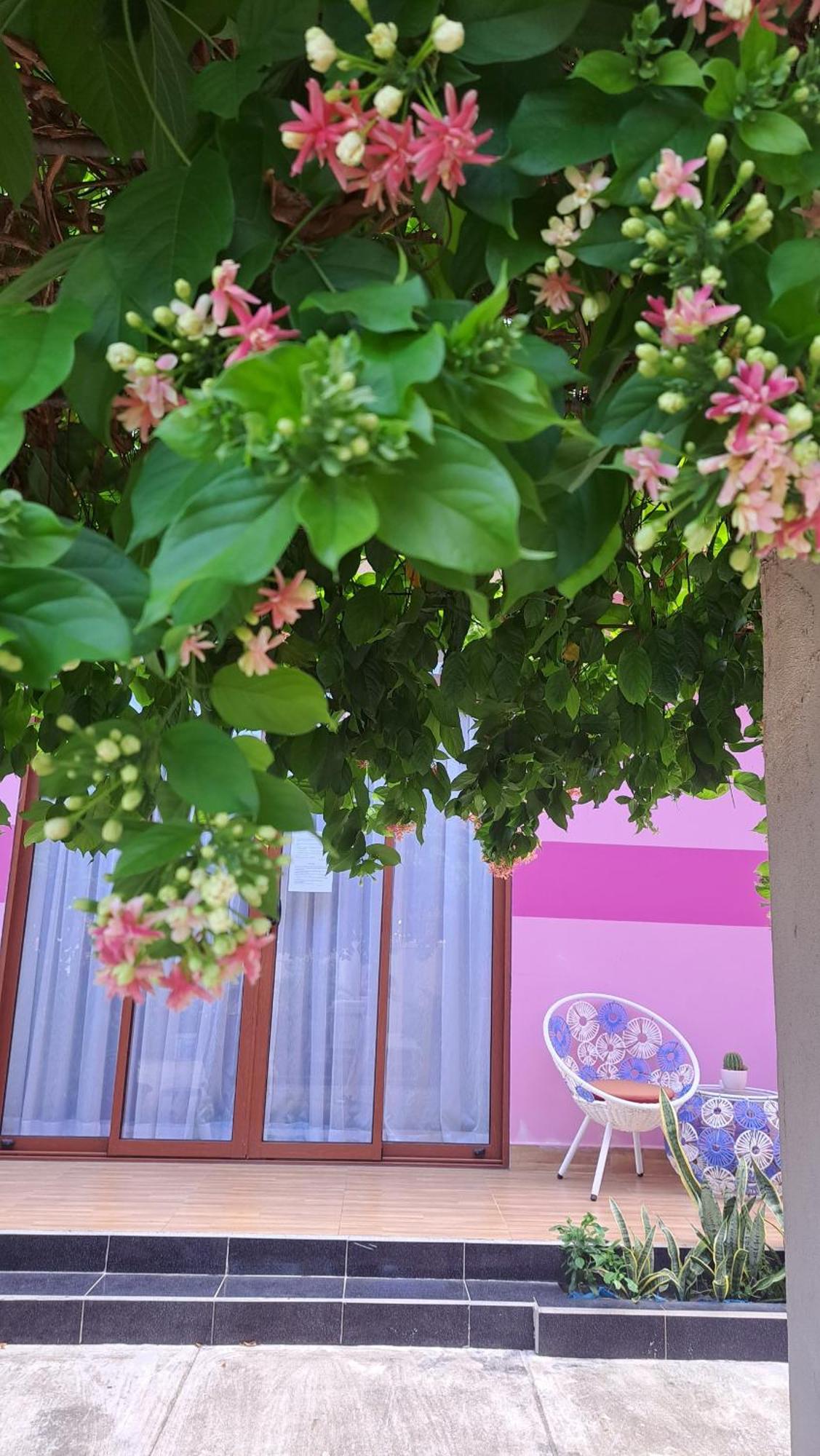 Pink House