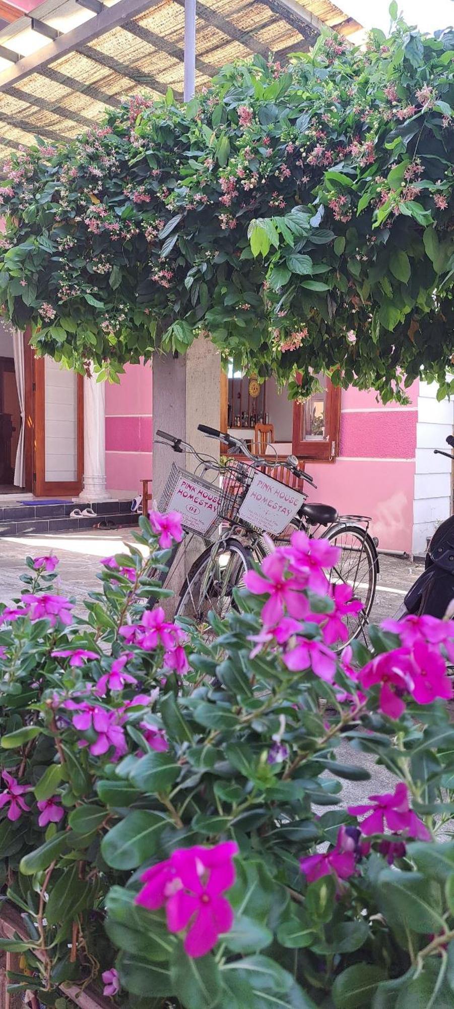 Pink House Ở trọ