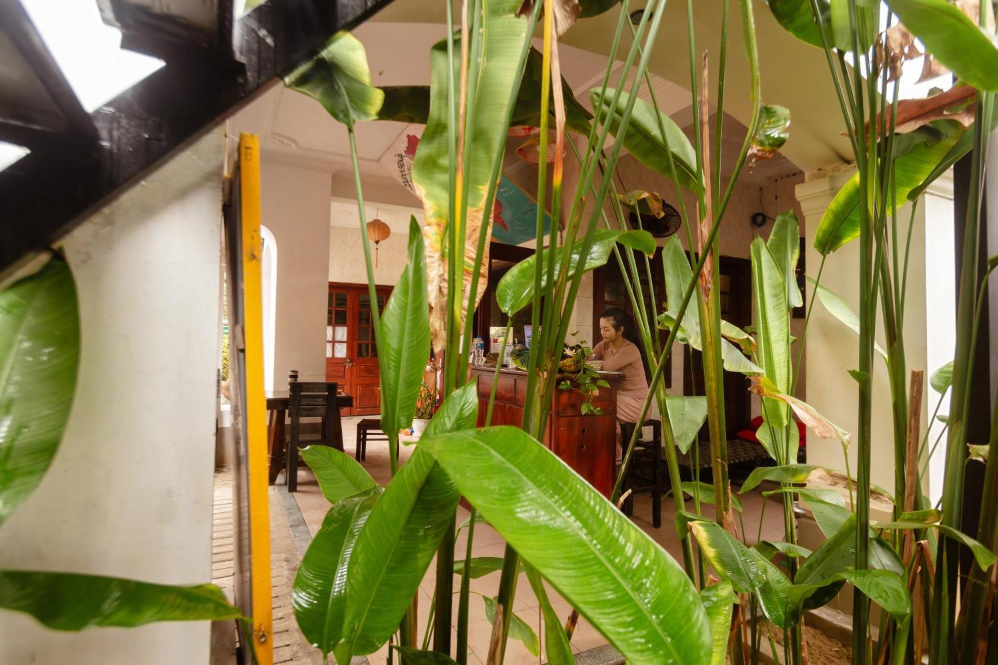 Serendipity Experience Hoi An Old Town Hostel