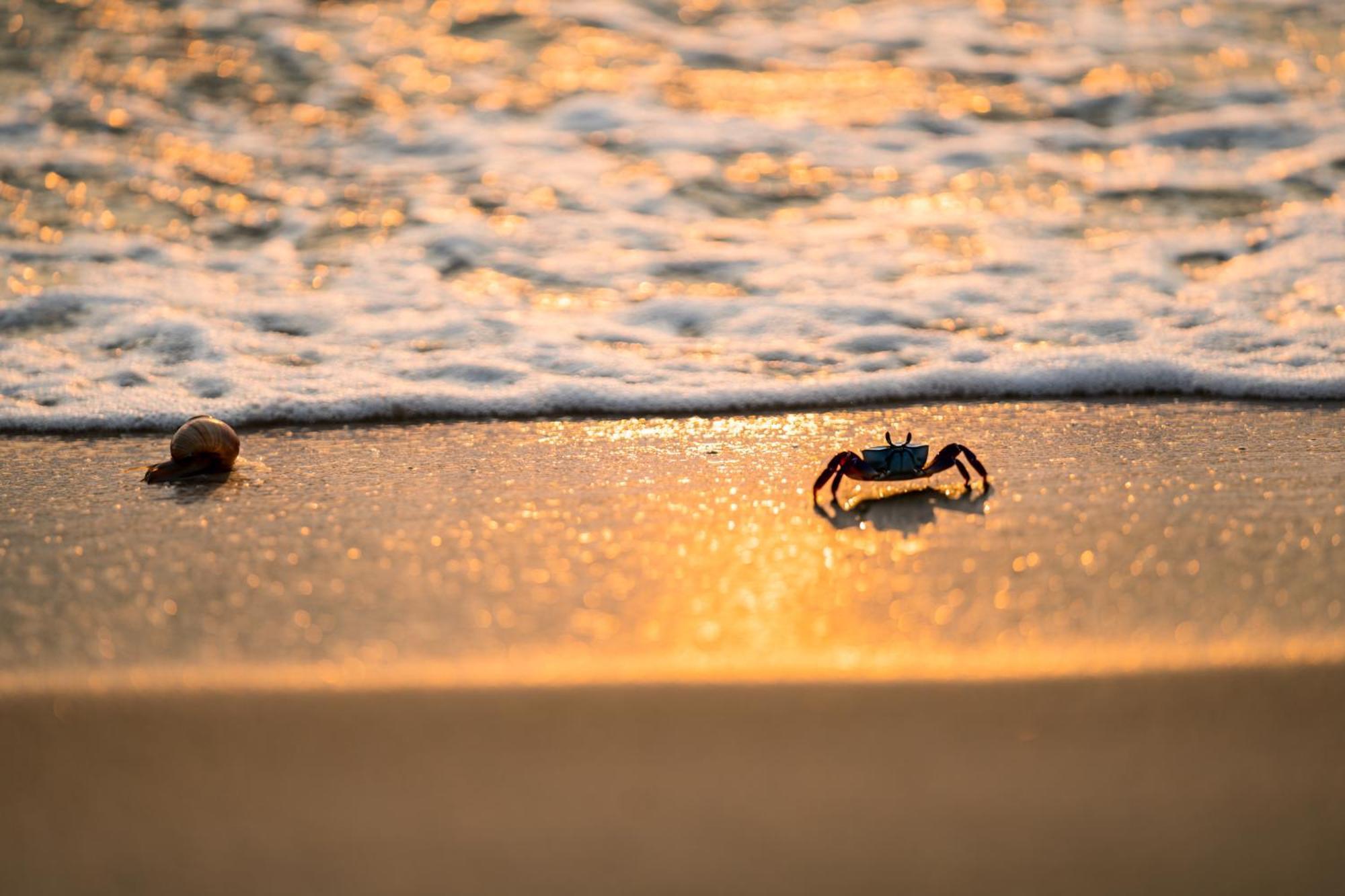 The Five & Quangnam - Danang 5*