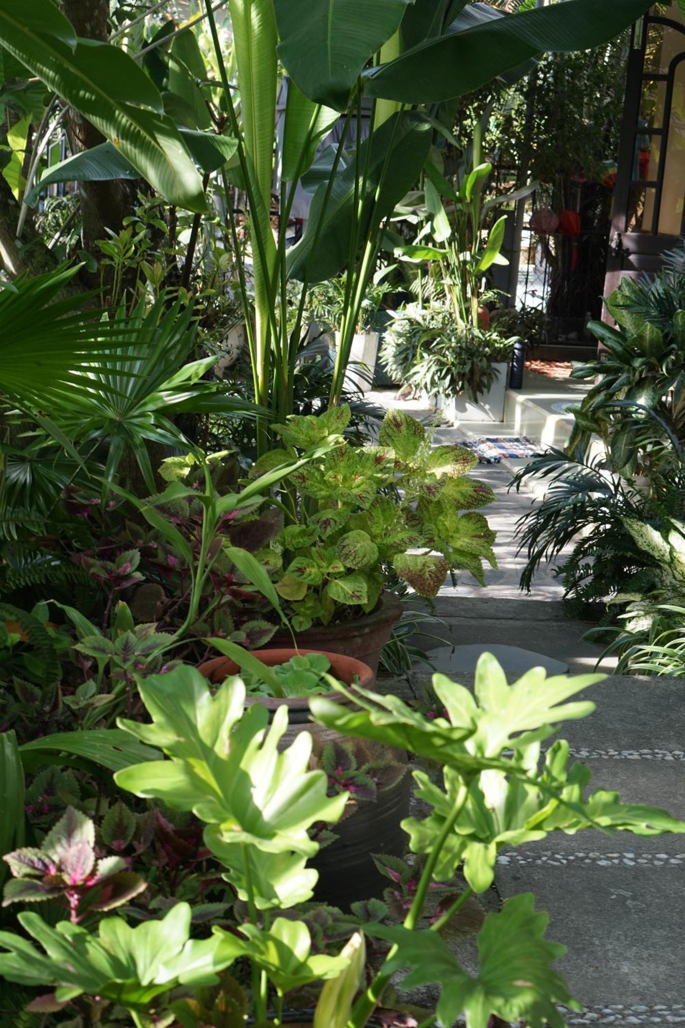Sunny Garden * Hoi An