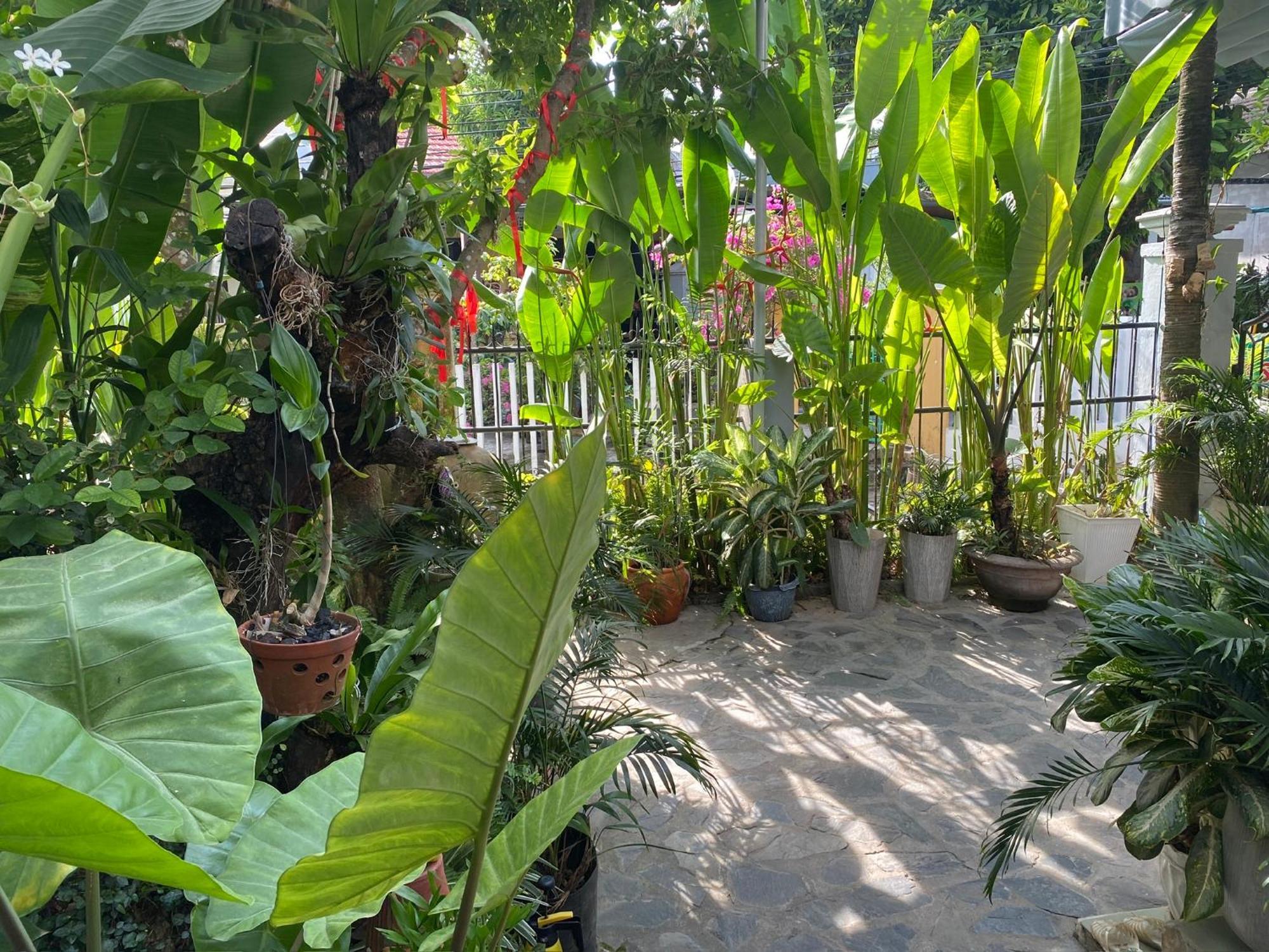 Privatunterkunft Sunny Garden