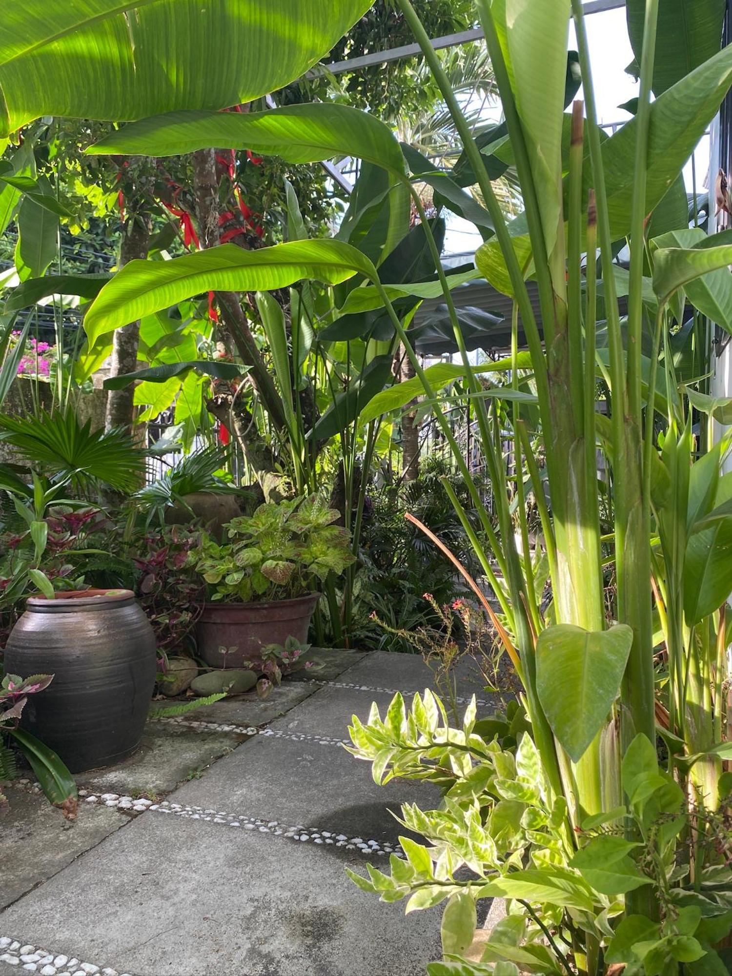 Sunny Garden Privatunterkunft