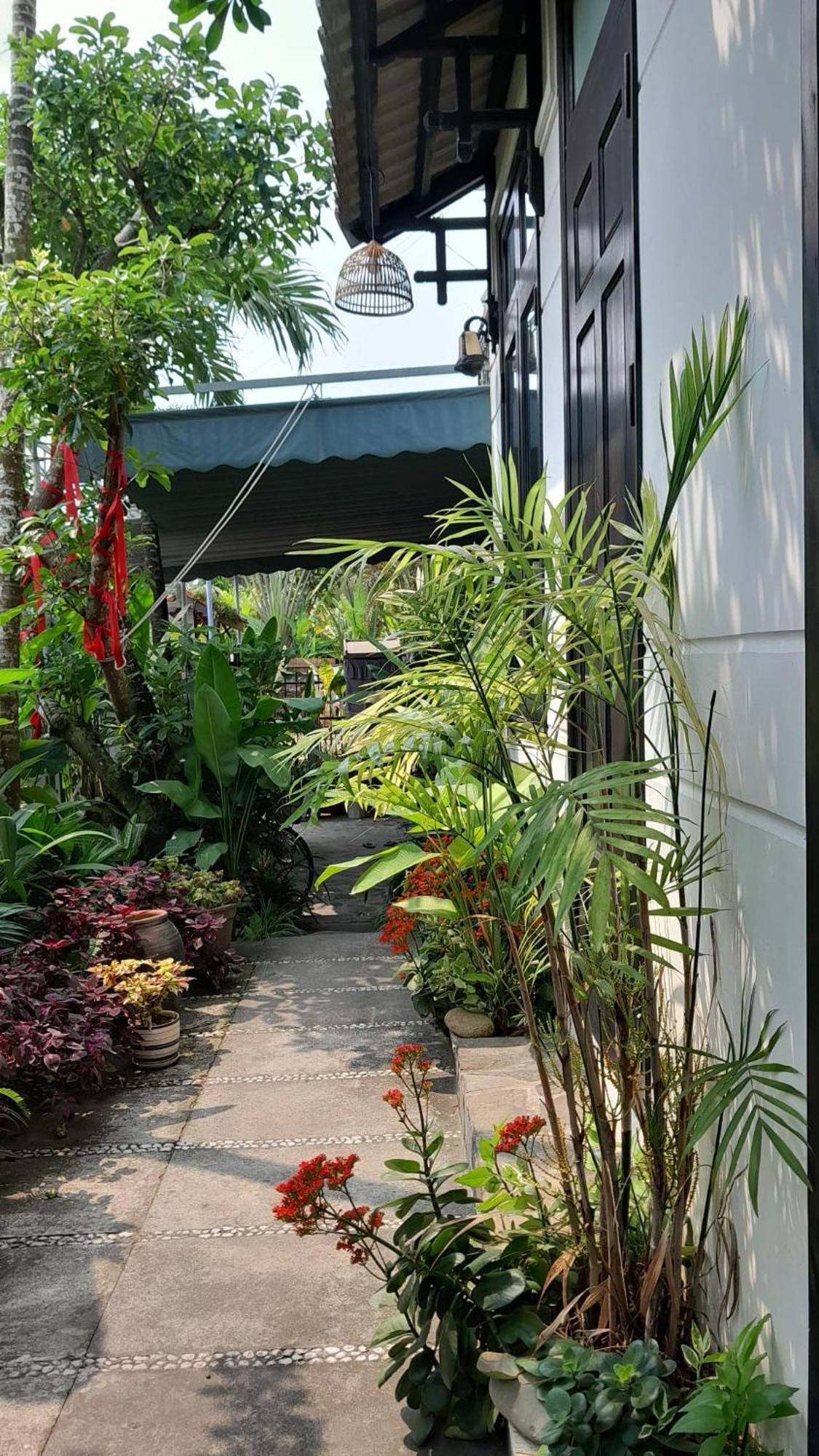 Sunny Garden Privatunterkunft *