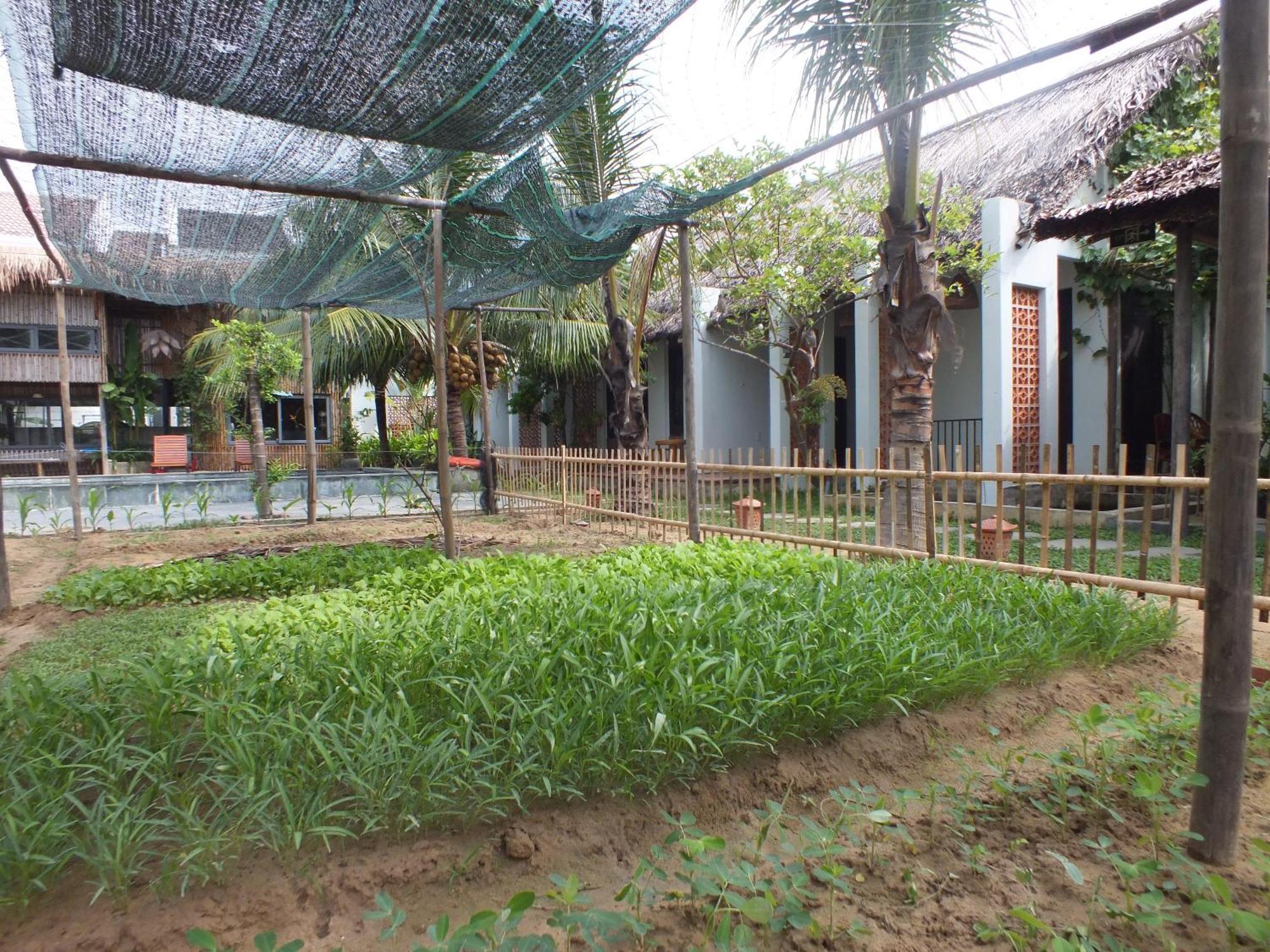 Homestay Farm Hoi An