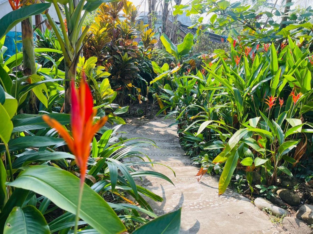 Homestay An Bang Seaside Village *