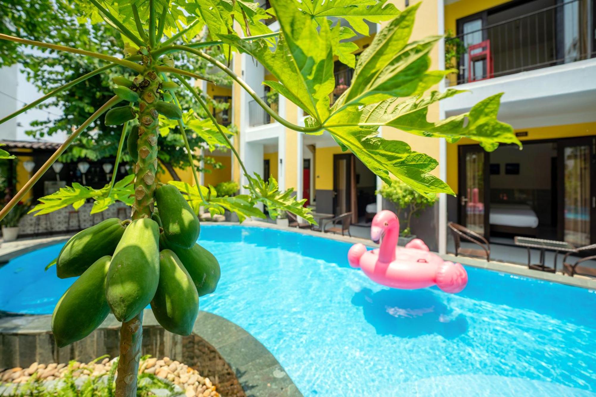 Ohana Gadren By Cocoviet * Hoi An