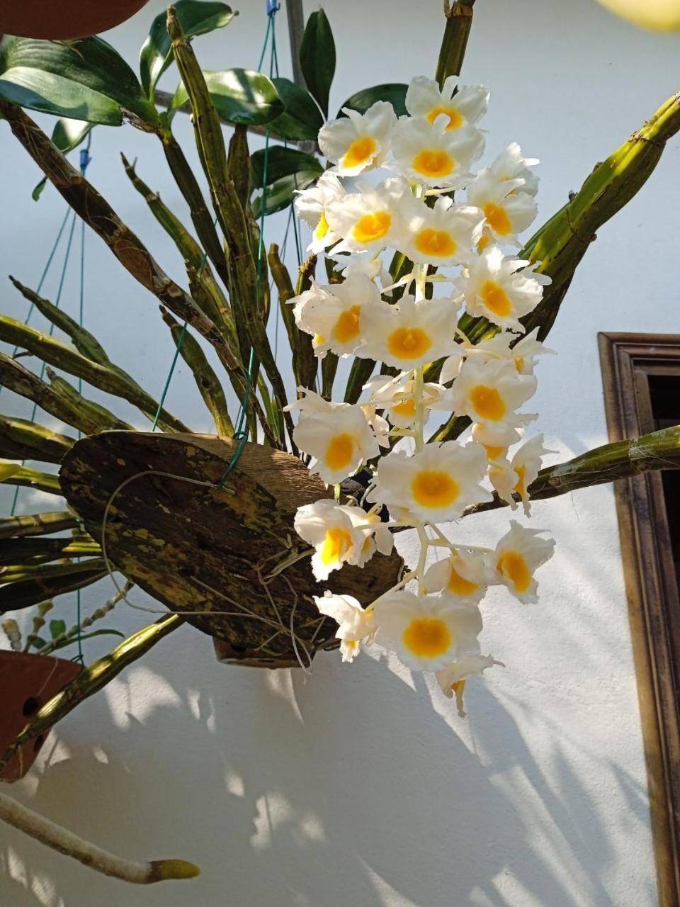 Homestay Anbang Morning Glory 안방비치 숙소호텔 Hoi An