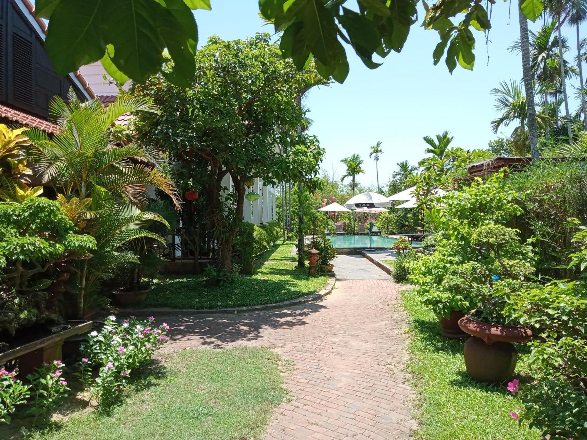 Areca