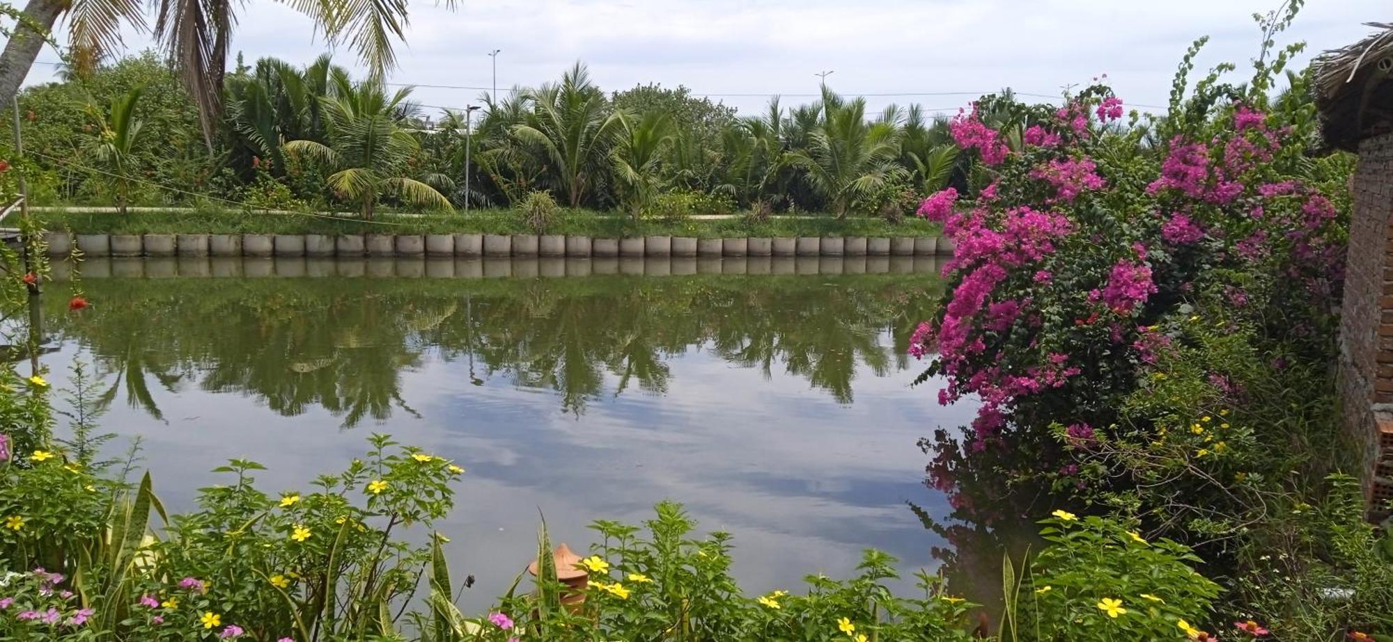 Homestay Lakeview *