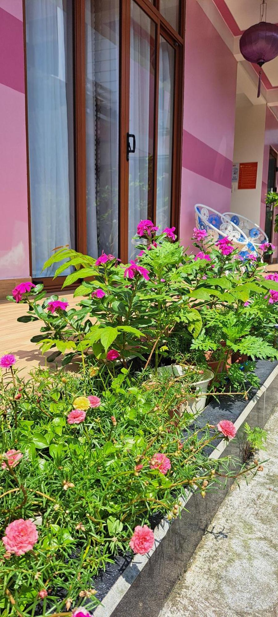 Ms Tri Homestay