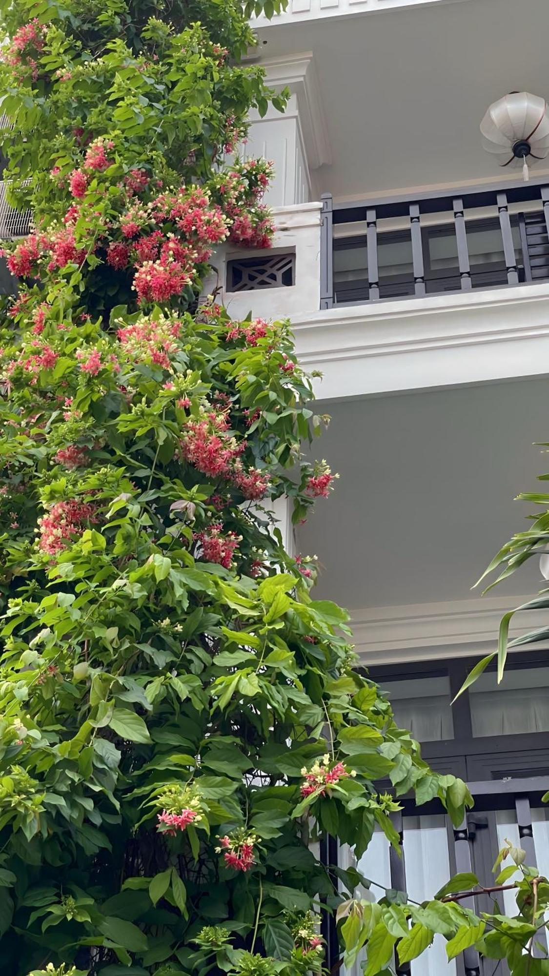 Discovery Hotel Hoi An