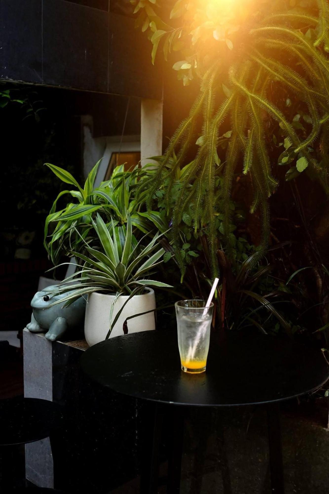Fika By Mottainaihoian - Vietnamese Only Bed & Breakfast Hoi An