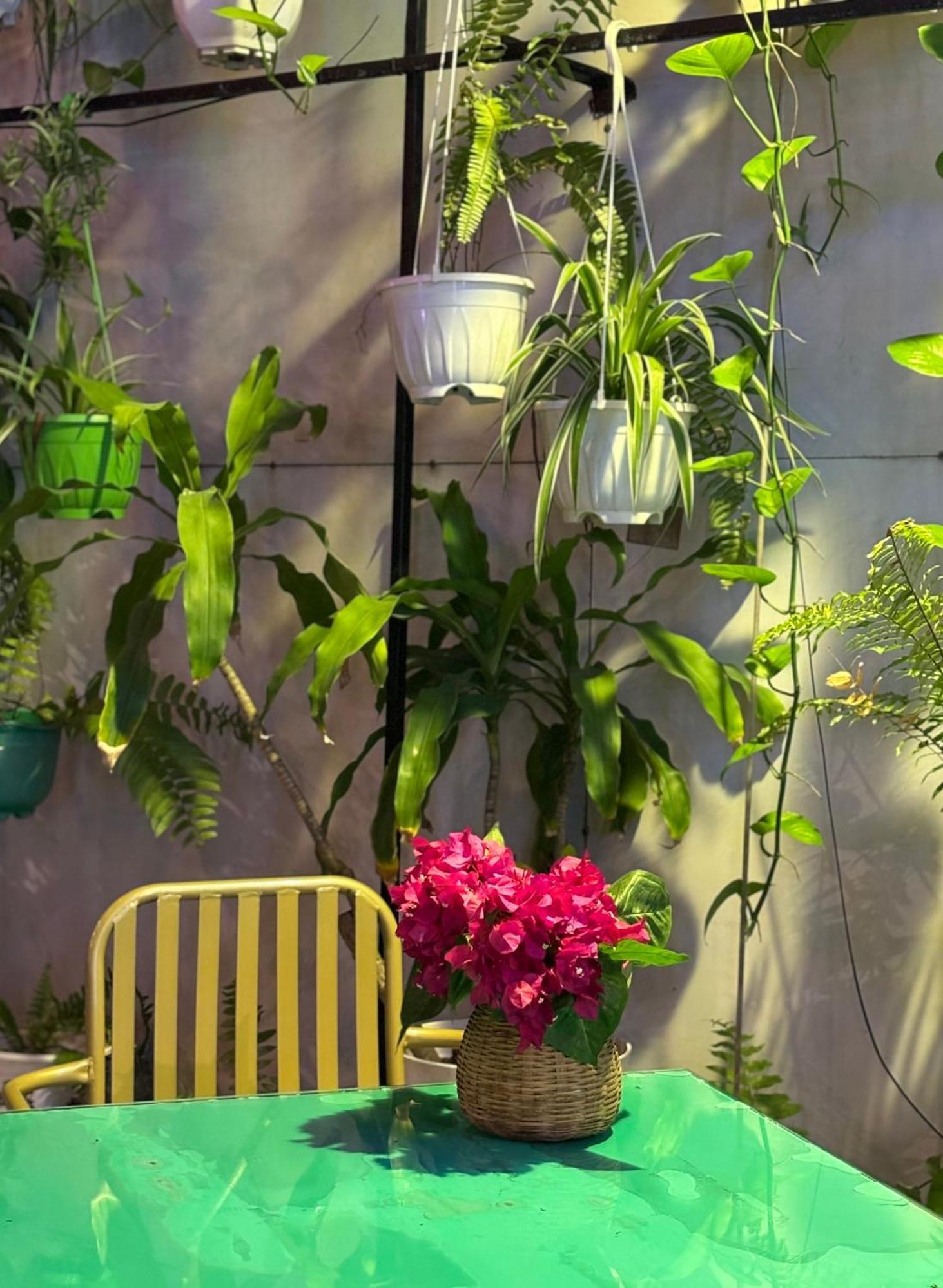 Pearl Homestay Hoi An