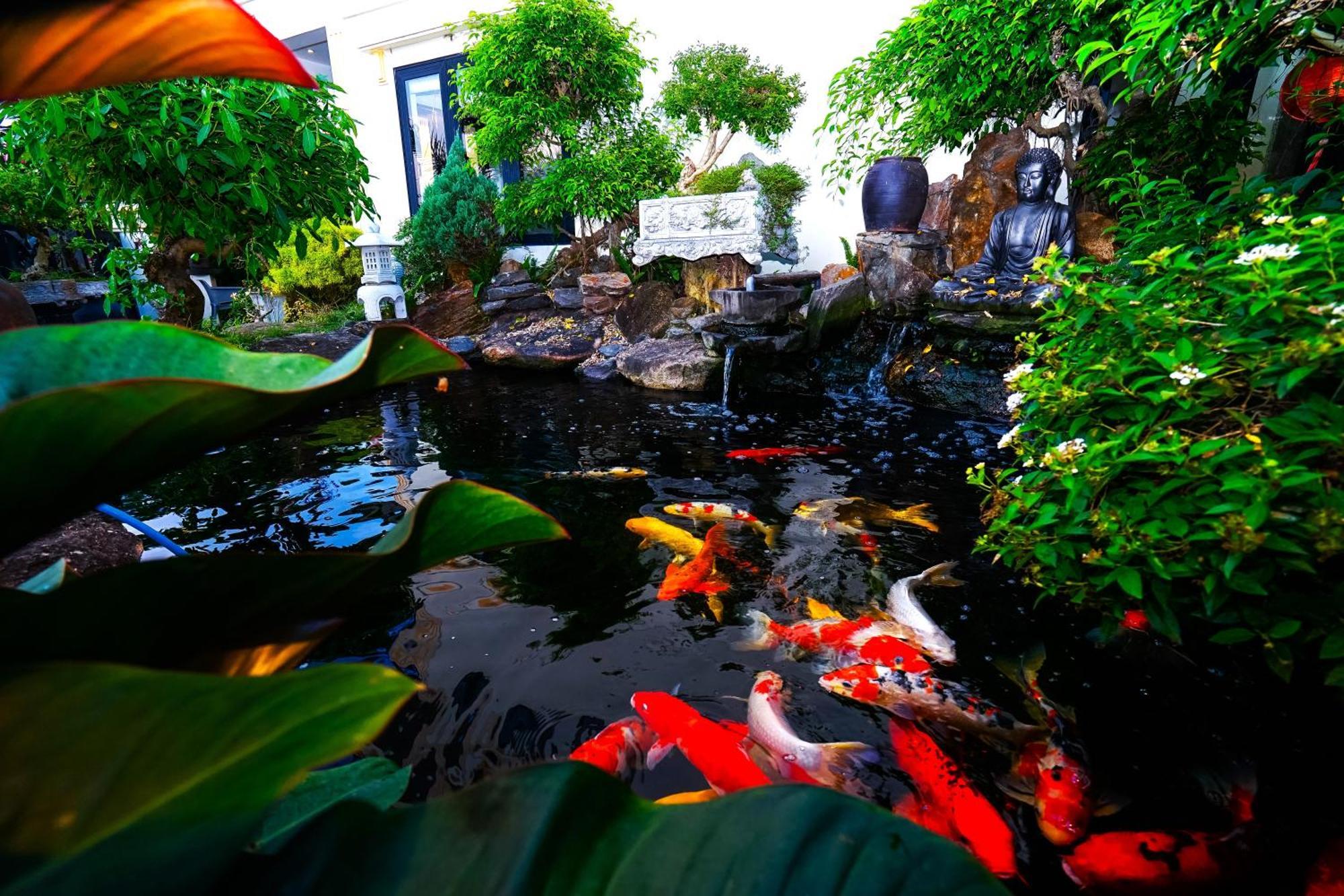 Koi Riverside * Hội An