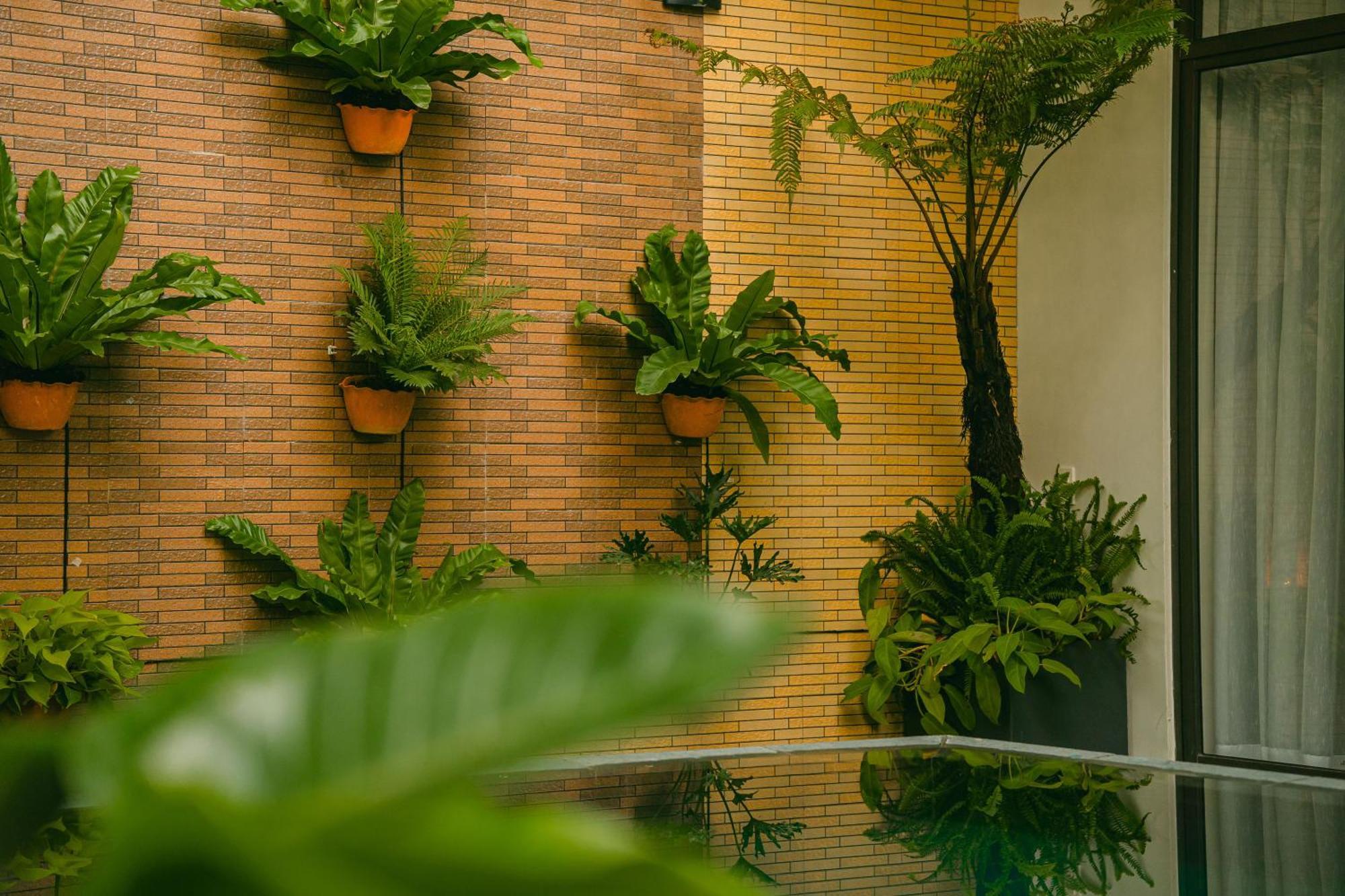 Palm Hotel