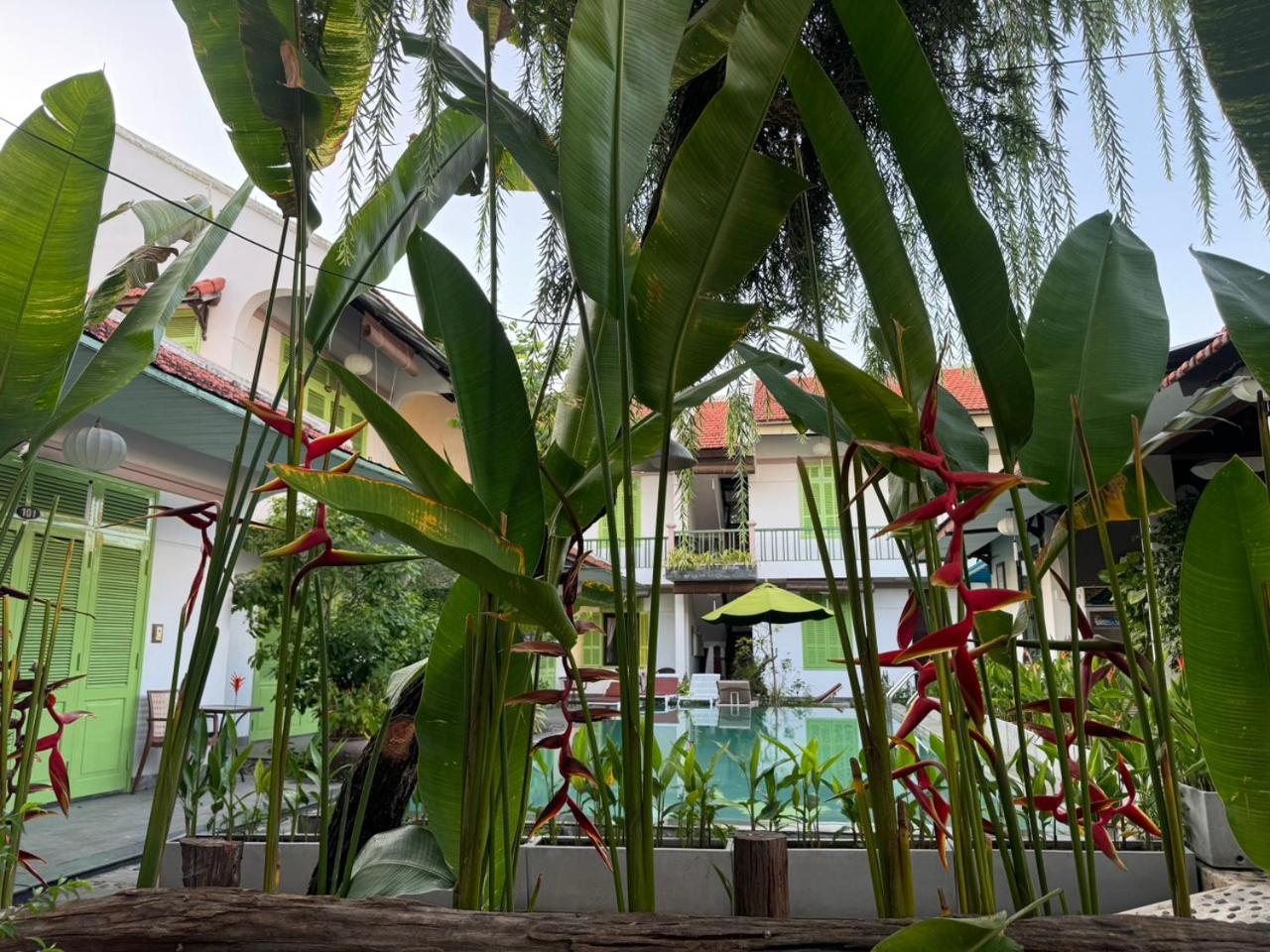 Villa Garden *