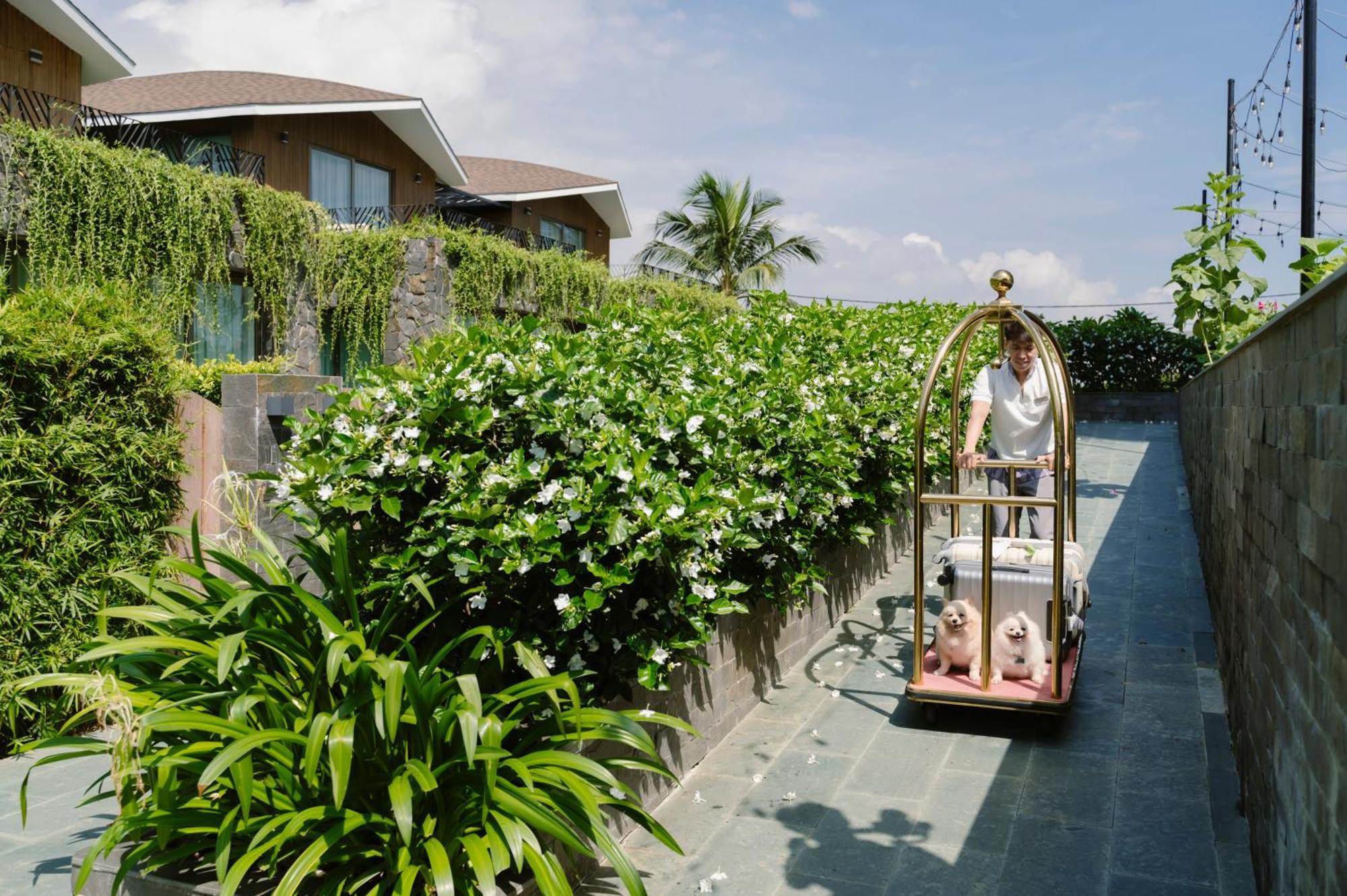 Hotel Bellerive And 5*
