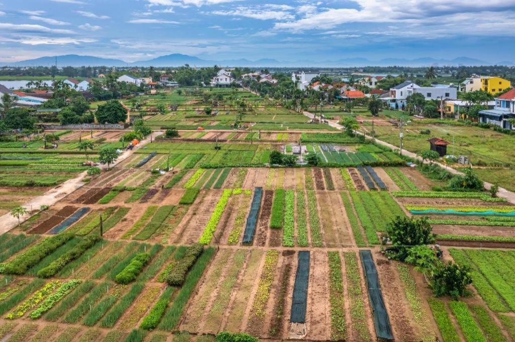 Sea Star Homestay Hoi An