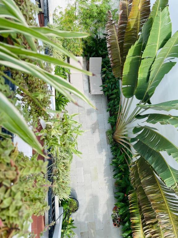 Vinci 3* Hoi An