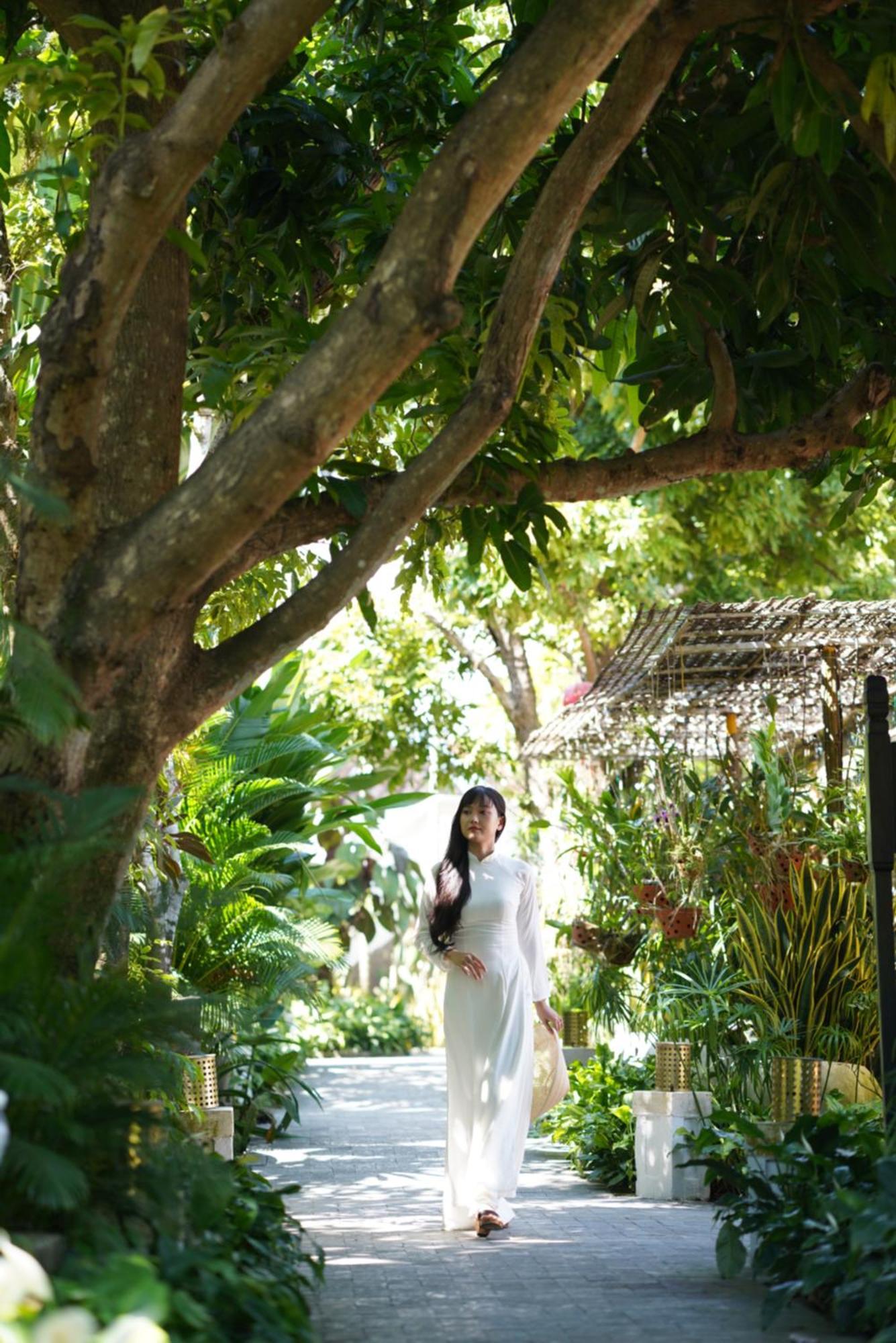 Ancient House & Resort Hoi An