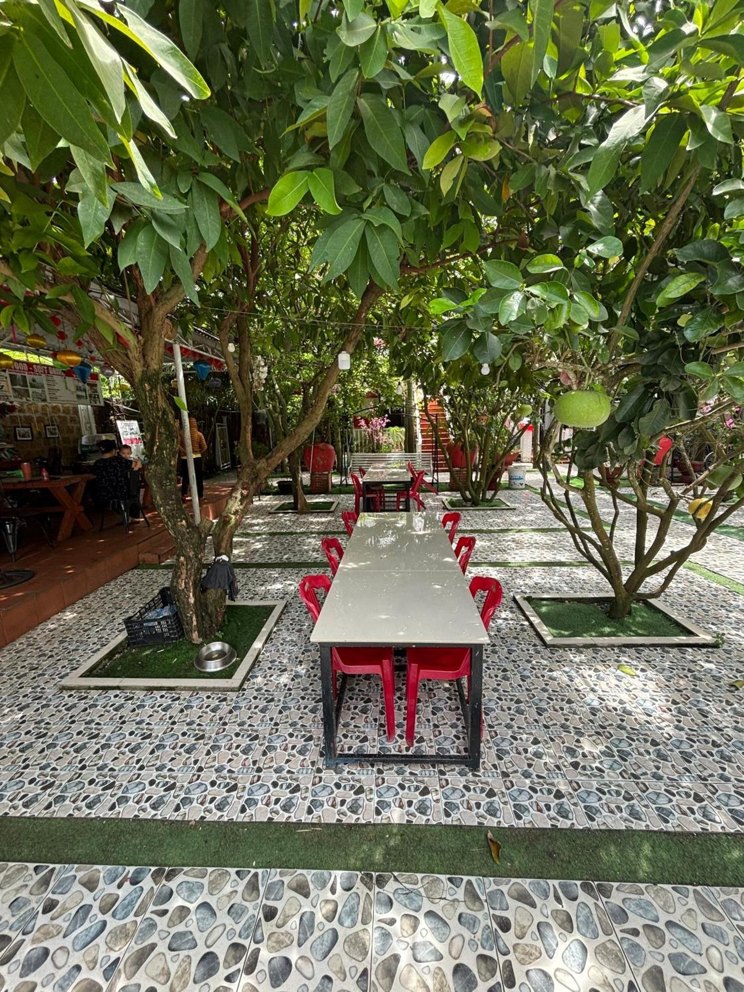 Red House -