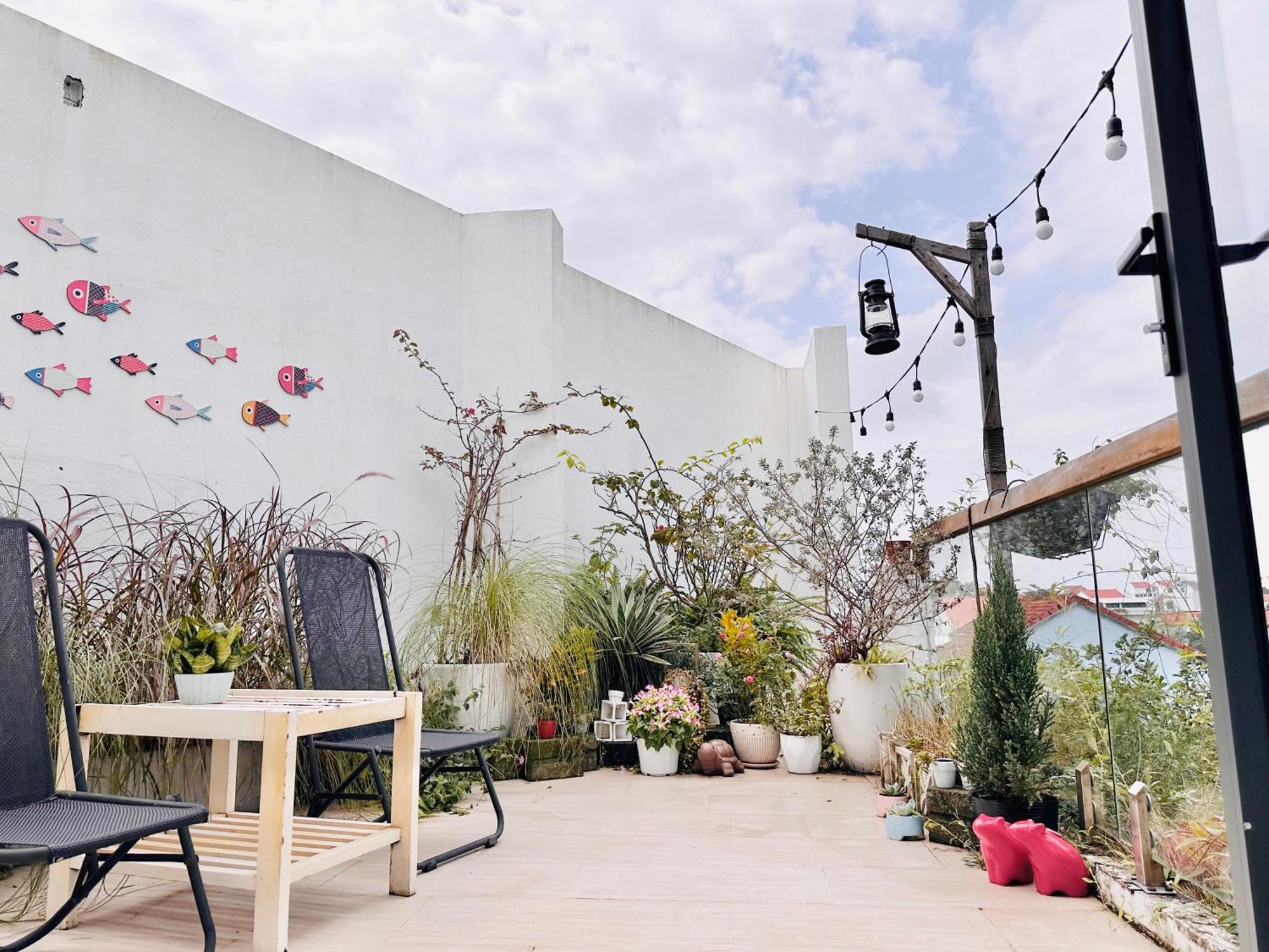 Homestay Cloudy Hoi An