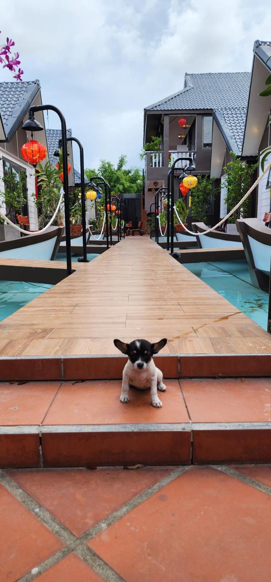 Coco Hoi An